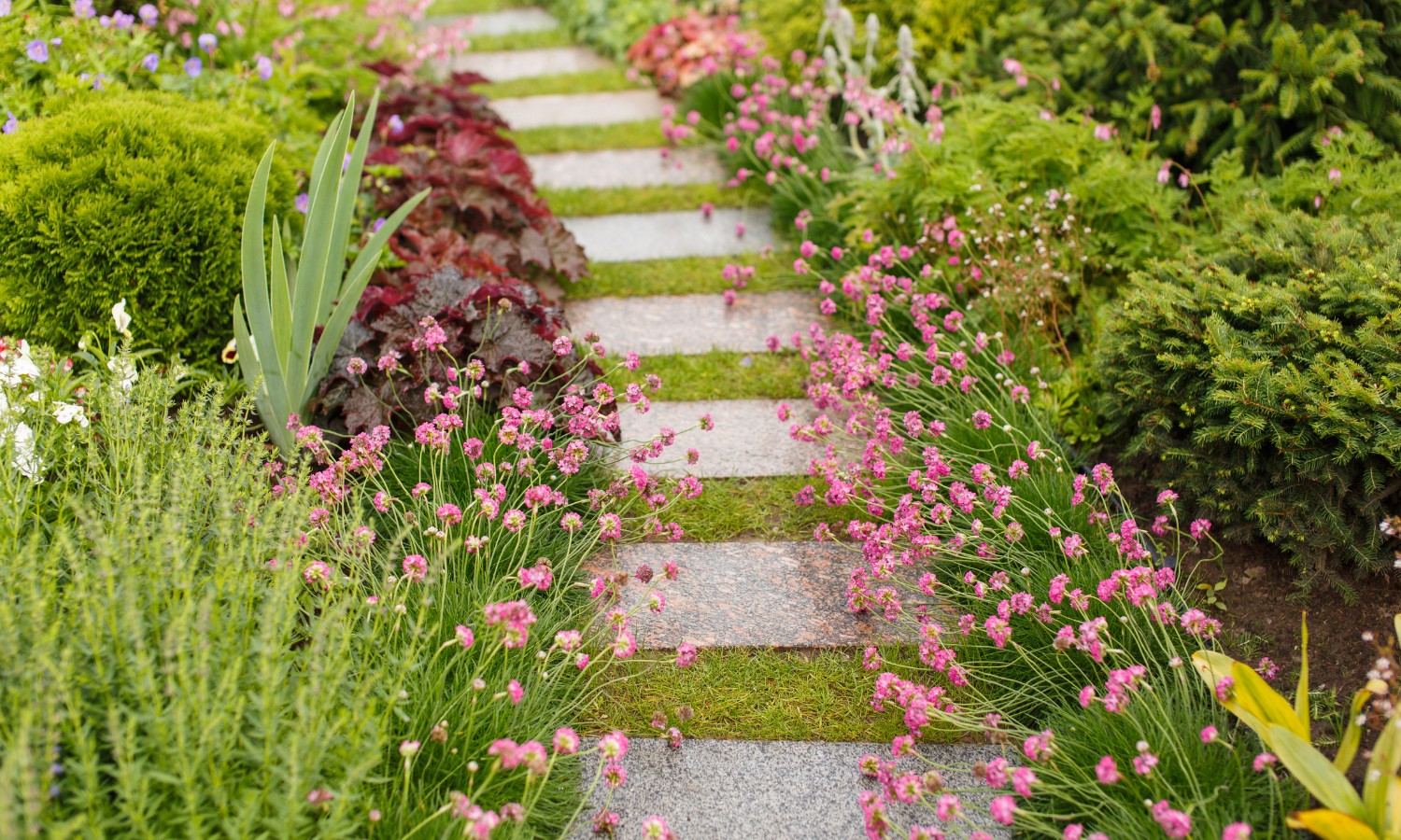 Landscaping Waco